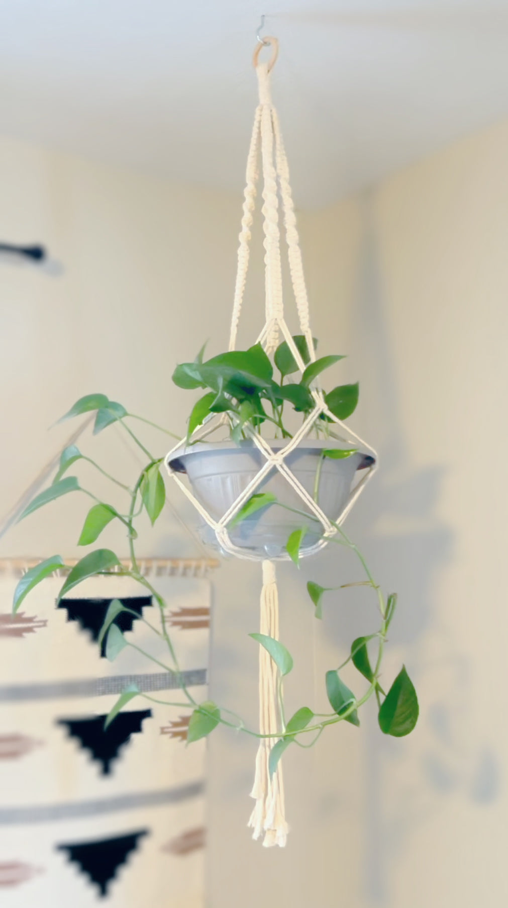 18” Plant Hanger