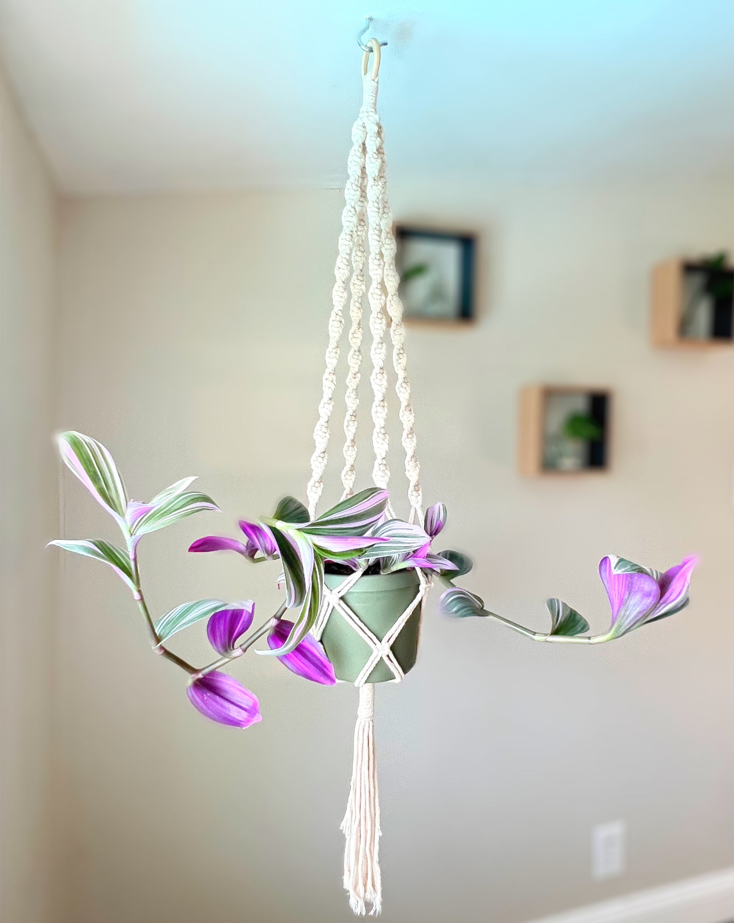 18” Plant Hanger